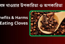 Benefits and Harms of Eating Cloves (লং খাওয়ার উপকারিতা ও লবঙ্গ খাওয়ার অপকারিতা)