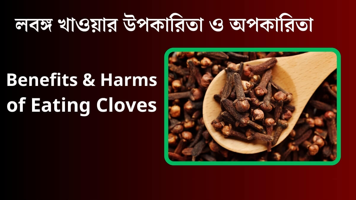 Benefits and Harms of Eating Cloves (লং খাওয়ার উপকারিতা ও লবঙ্গ খাওয়ার অপকারিতা)