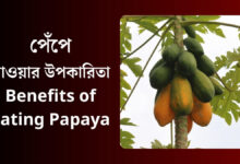 Benefits of Eating Papaya (পেপে খাওয়ার উপকারিতা)