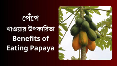 Benefits of Eating Papaya (পেপে খাওয়ার উপকারিতা)