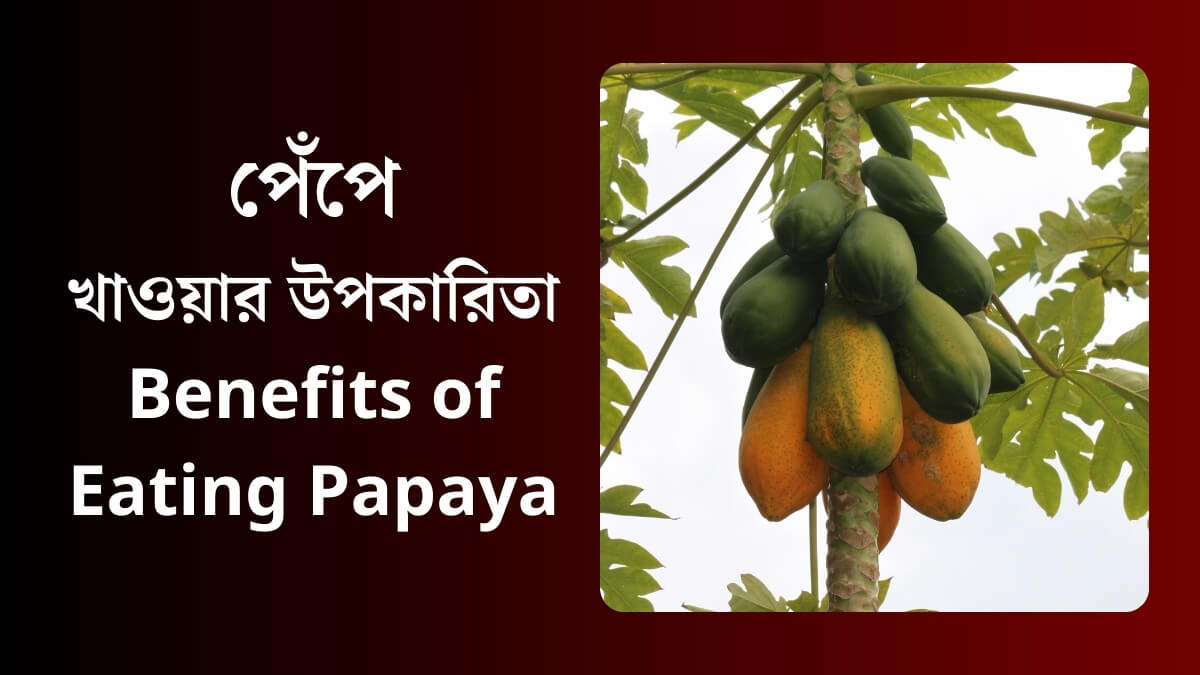 Benefits of Eating Papaya (পেপে খাওয়ার উপকারিতা)