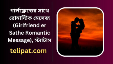 গার্লফ্রেন্ডের সাথে রোমান্টিক মেসেজ (Grilfriend Sathe Romantika Message), স্ট্যাটাস