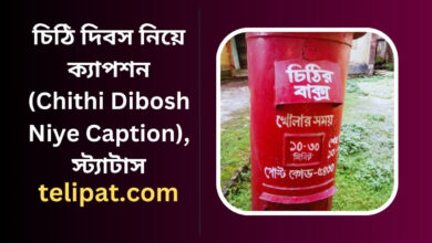 চিঠি দিবস নিয়ে ক্যাপশন (Chithi Dibosh Niye Caption), স্ট্যাটাস