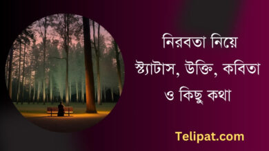 নিরবতা নিয়ে স্ট্যাটাস, উক্তি (Nirabata Niye Status), কবিতা ও কিছু কথা