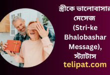 স্ত্রীকে ভালোবাসার মেসেজ (Stri ke Bhalobashar Message), স্ট্যাটাস