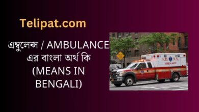 (Ambulance Er Bangla Ortho Ki) এম্বুলেন্স এর বাংলা অর্থ কি