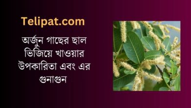 (Arjun Gacher Chaal Bhijiye Khaowar Upokarita) অর্জুন গাছের ছাল ভিজিয়ে খাওয়ার উপকারিতা