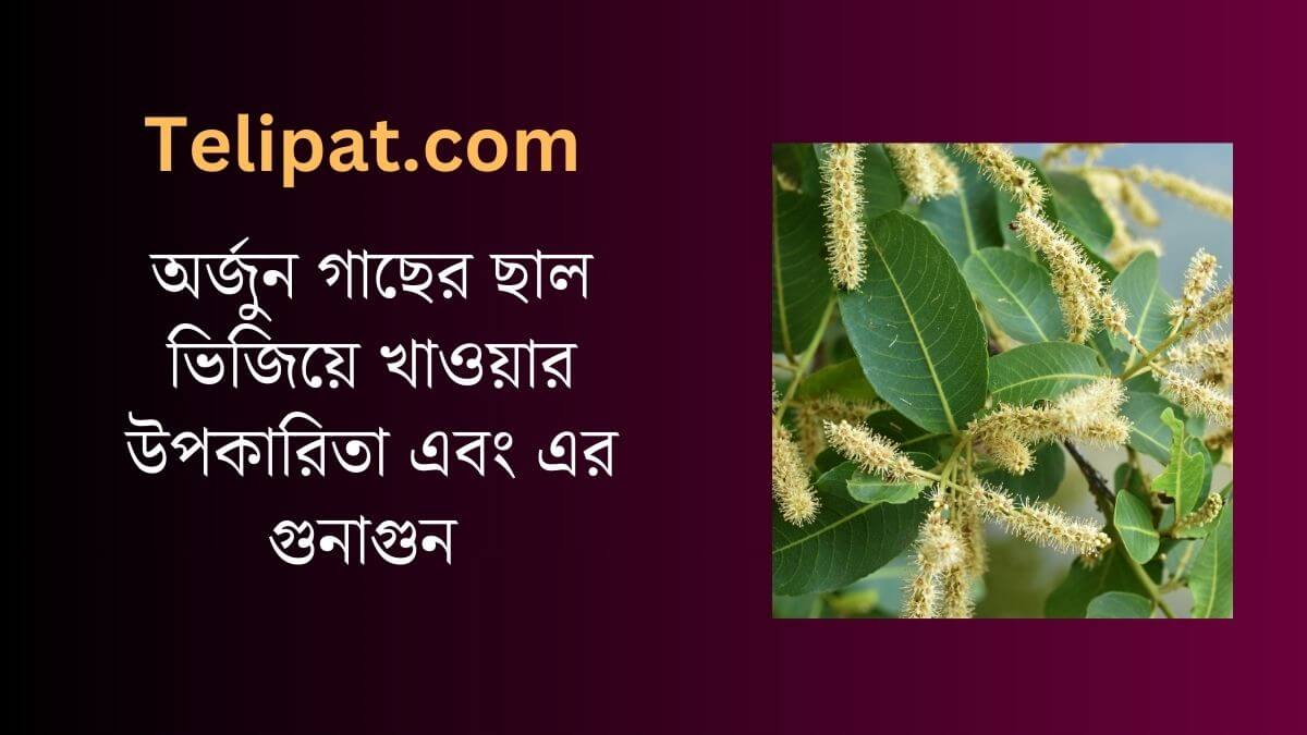 (Arjun Gacher Chaal Bhijiye Khaowar Upokarita) অর্জুন গাছের ছাল ভিজিয়ে খাওয়ার উপকারিতা