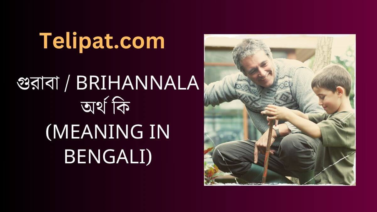 (Brihannala Meaning in Bengali) গুরাবা অর্থ কি