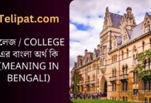 (College Er Bangla Ortho Ki) কলেজ এর বাংলা অর্থ কি