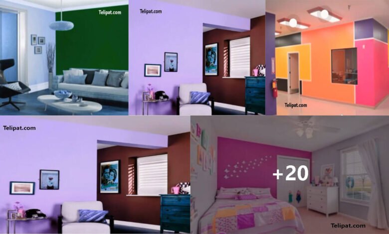(Color Picture Of The Room's Color) ঘরের রং এর কালার ছবি