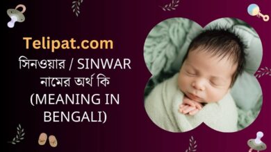 (Sinwar Namer Ortho Ki) সিনওয়ার নামের অর্থ কি