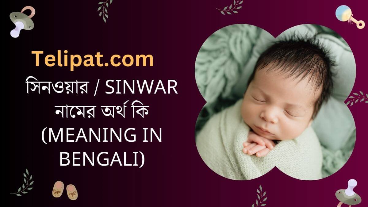 (Sinwar Namer Ortho Ki) সিনওয়ার নামের অর্থ কি