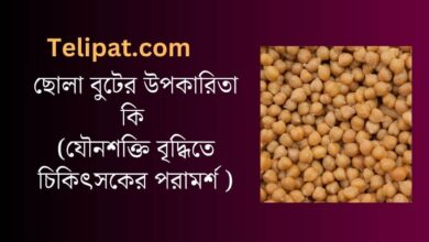 (Sola Buter Upokarita Ki) ছোলা বুটের উপকারিতা কি