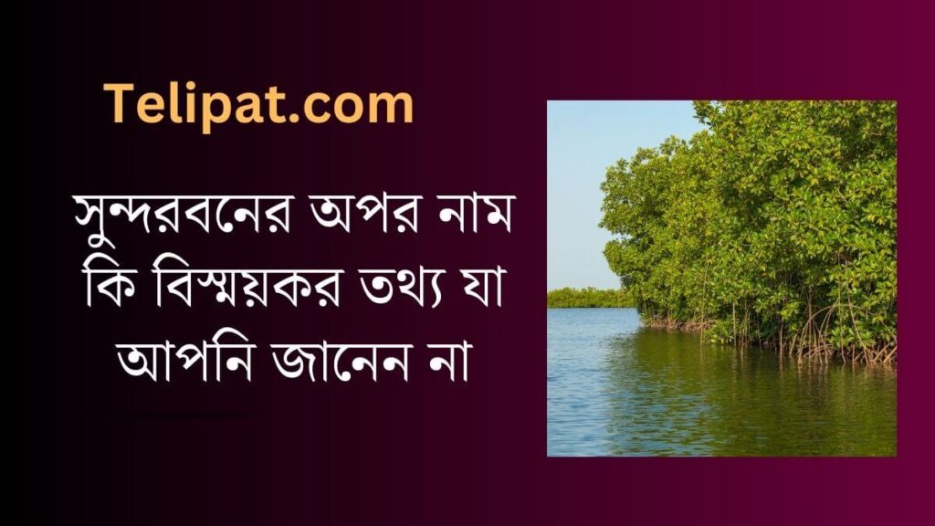 (Sundorboner Opor Name Ki) সুন্দরবনের অপর নাম কি