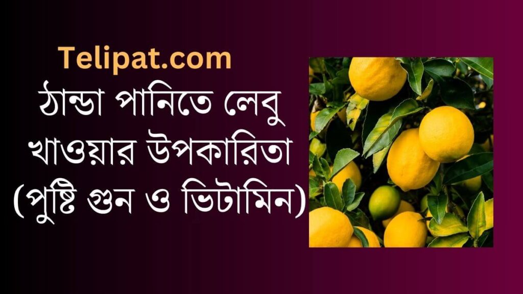 (Thanda Pani Lebu Khawar Upokarita) ঠান্ডা পানিতে লেবু খাওয়ার উপকারিতা