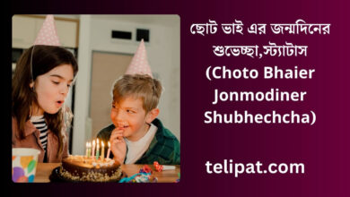 ছোট ভাই এর জন্মদিনের শুভেচ্ছা (Choto Bhaier Jonmodiner Shubhechcha),স্ট্যাটাস