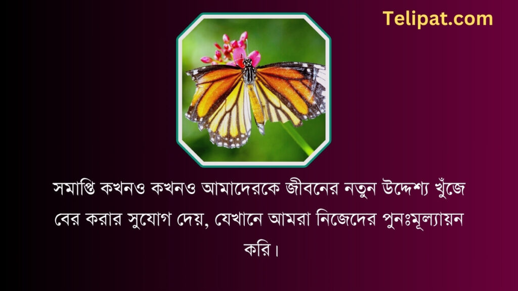 সমাপ্তি নিয়ে উক্তি