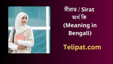 সীরাত অর্থ কি (Sirat Meaning in Bengali)