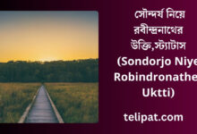 সৌন্দর্য নিয়ে রবীন্দ্রনাথের উক্তি (Sondorjo Niye Robindronather Uktti), স্ট্যাটাস (1)