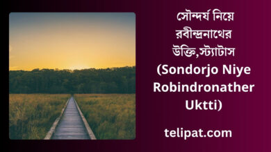 সৌন্দর্য নিয়ে রবীন্দ্রনাথের উক্তি (Sondorjo Niye Robindronather Uktti), স্ট্যাটাস (1)