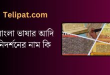 (Bangla Bhashar Adi Nidorshoner Nam Ki) বাংলা ভাষার আদি নিদর্শনের নাম কি