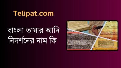 (Bangla Bhashar Adi Nidorshoner Nam Ki) বাংলা ভাষার আদি নিদর্শনের নাম কি