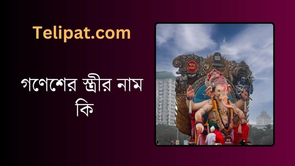 (Gonesher Strir Nam Ki) গণেশের স্ত্রীর নাম কি