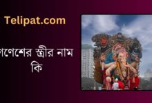 (Gonesher Strir Nam Ki) গণেশের স্ত্রীর নাম কি