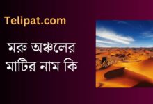 (Moru Mrttikar Opor Nam Ki) মরু মৃত্তিকার অপর নাম কি