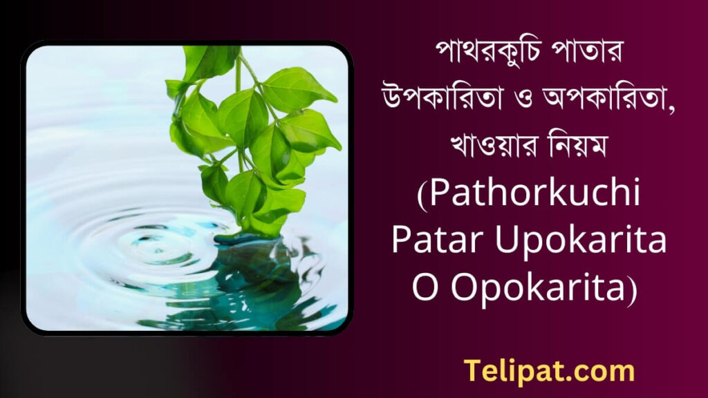 (Pathorkuchi Patar Upokarita O Opokarita) পাথরকুচি পাতার উপকারিতা ও অপকারিতা, খাওয়ার নিয়ম