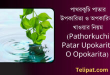 (Pathorkuchi Patar Upokarita O Opokarita) পাথরকুচি পাতার উপকারিতা ও অপকারিতা, খাওয়ার নিয়ম