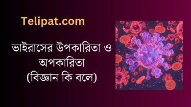 (Vairaser Upokarita O Opokarita) ভাইরাসের উপকারিতা ও অপকারিতা